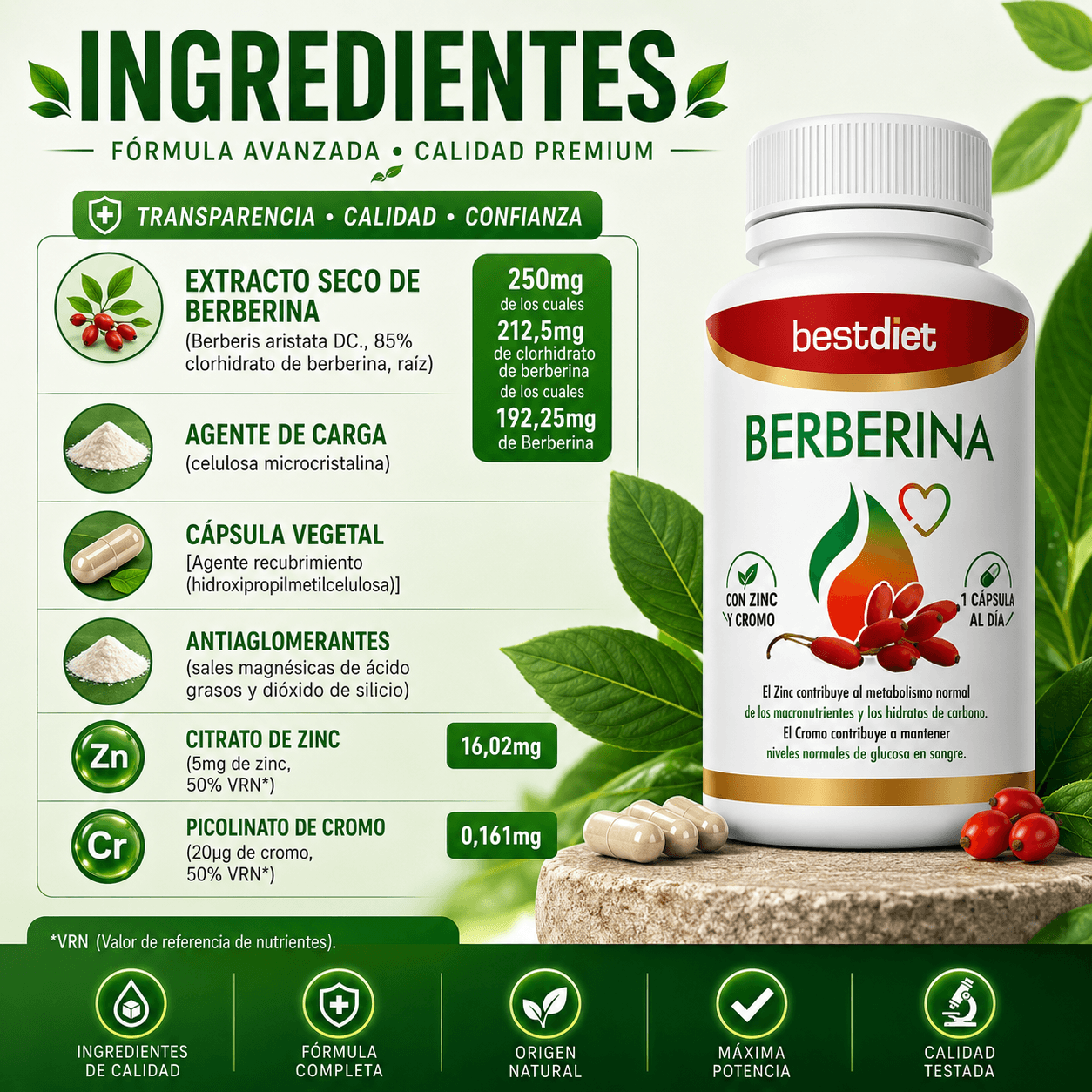 Berberina — Ayuda a Regular la Glucosa, Controlar el Apetito y Favorecer un Peso Saludable